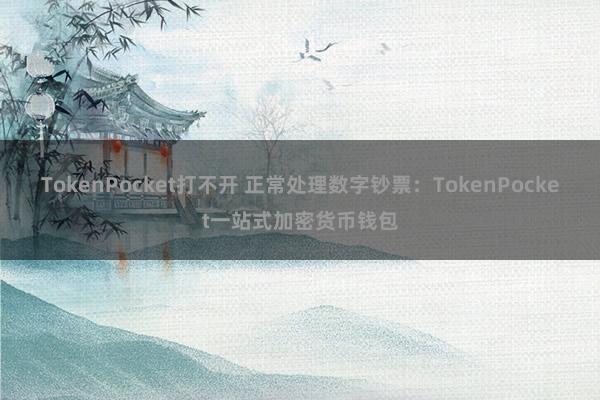 TokenPocket打不开 正常处理数字钞票：TokenPocket一站式加密货币钱包